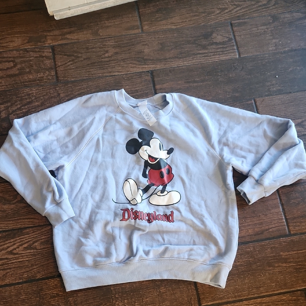 Authentic Disneyland Parks Sweatshirt